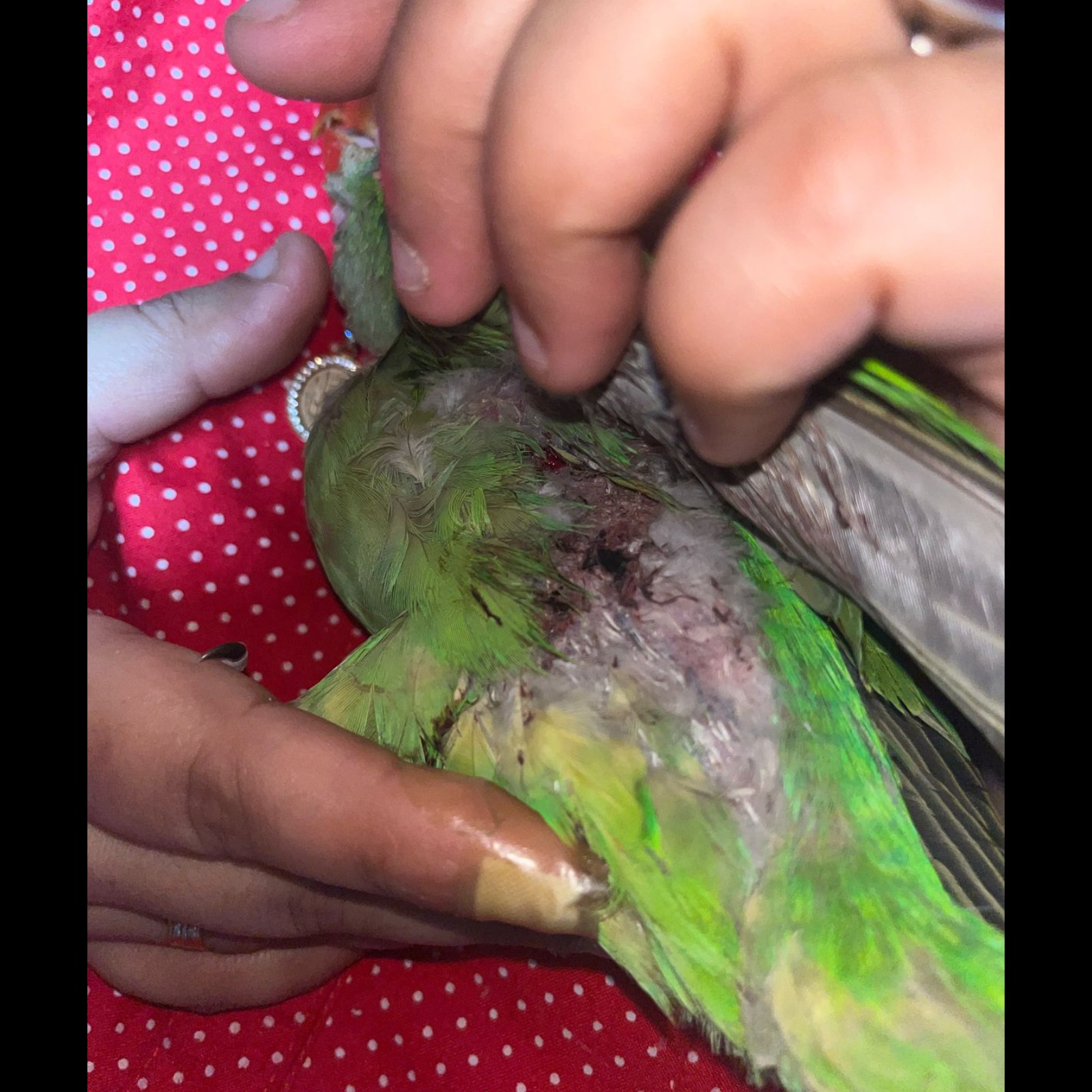 update image