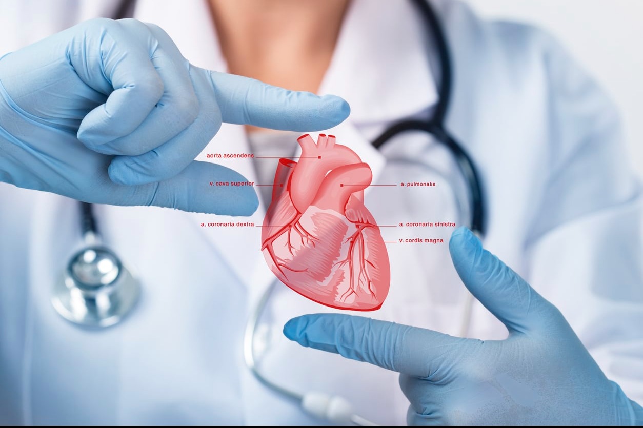 Cardiologist in Pimpri Chinchwad – Heart Diseas... main image