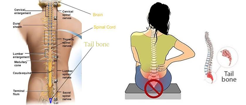 Tail bone pain or Coccydynia??????? Tailbone pain,... main image