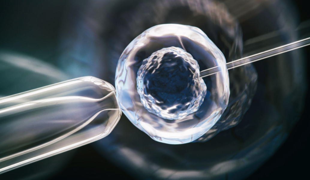 IVF Hospital in Coimbatore – Personalized Fertilit... main image