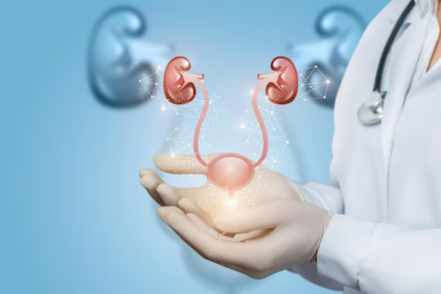 Urologist In Velachery – Expert Consultation, A... main image