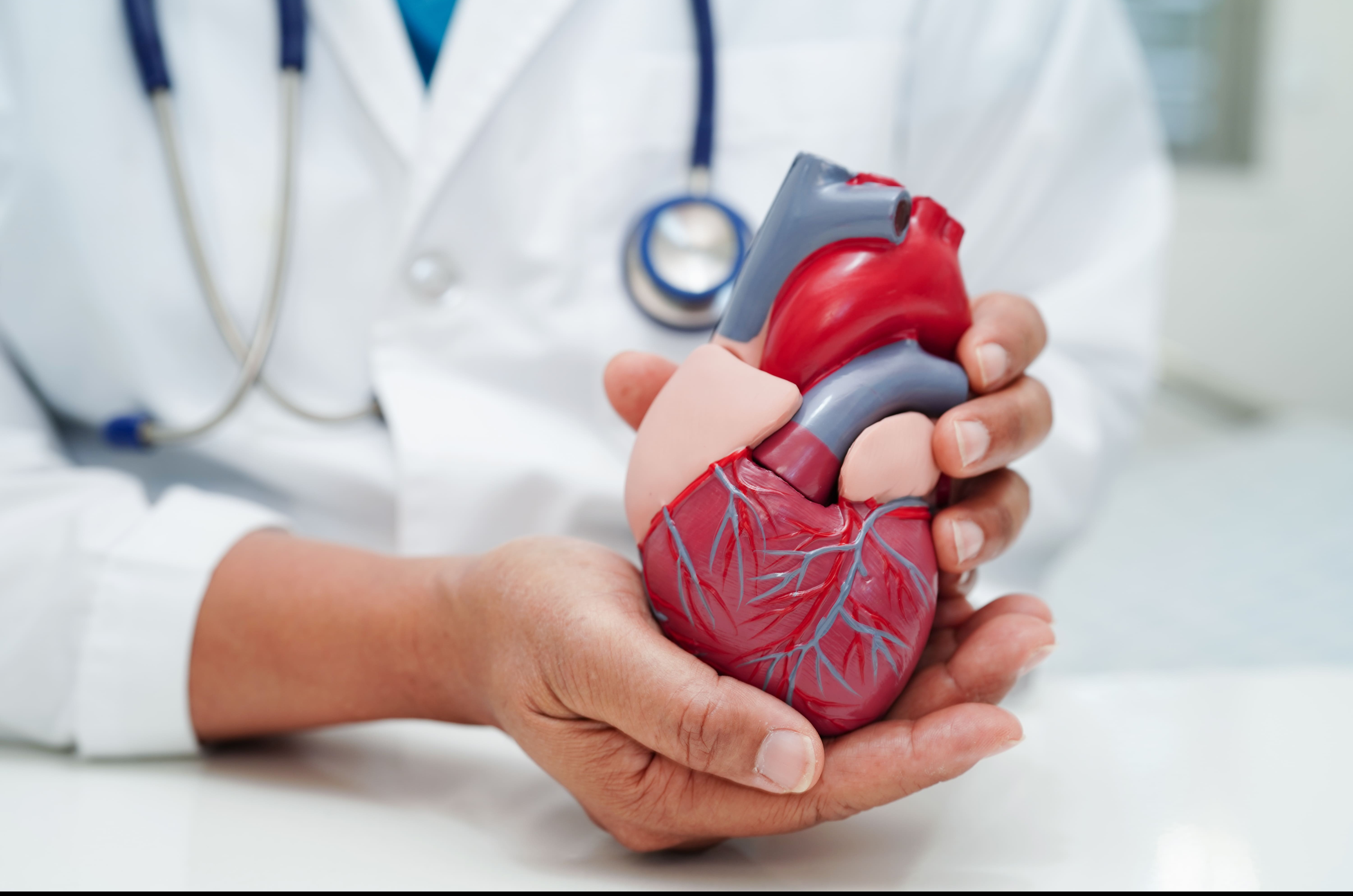 Best Cardiologist in Nagpur for Advanced Heart C... main image
