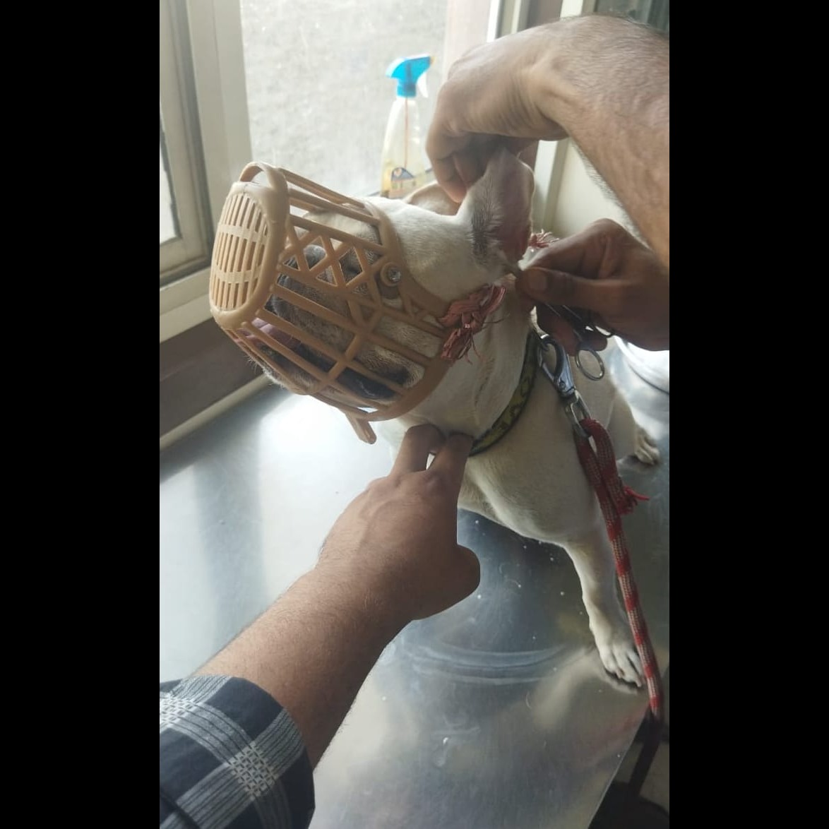 update image