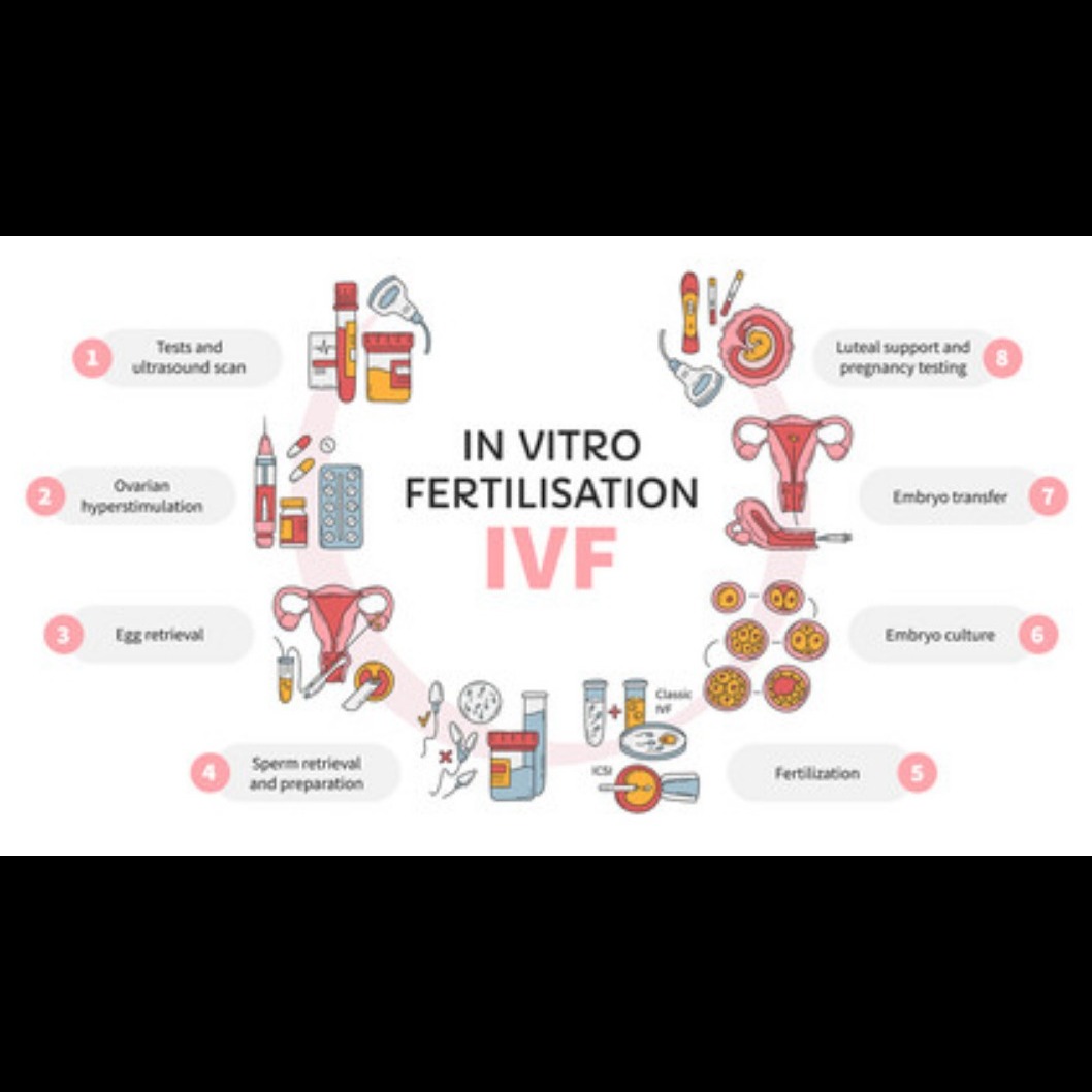 IVF consultation Coimbatore free main image