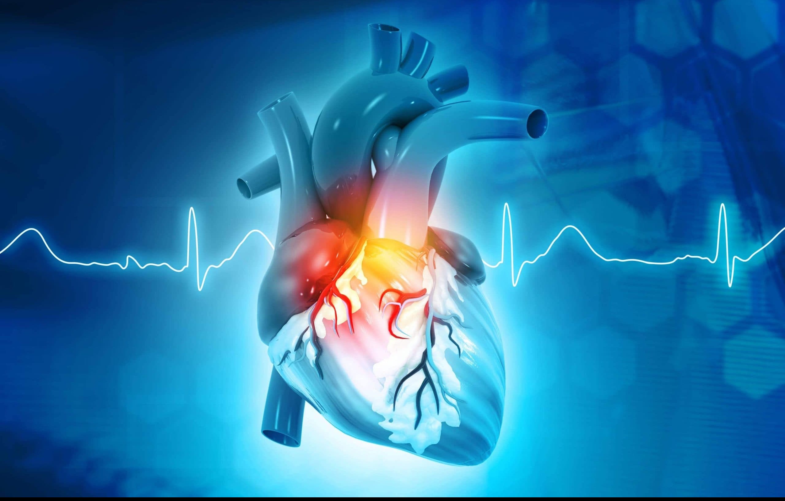 Cardiology Hospital in Ravet – Where Every Heartbeat Cou... main image
