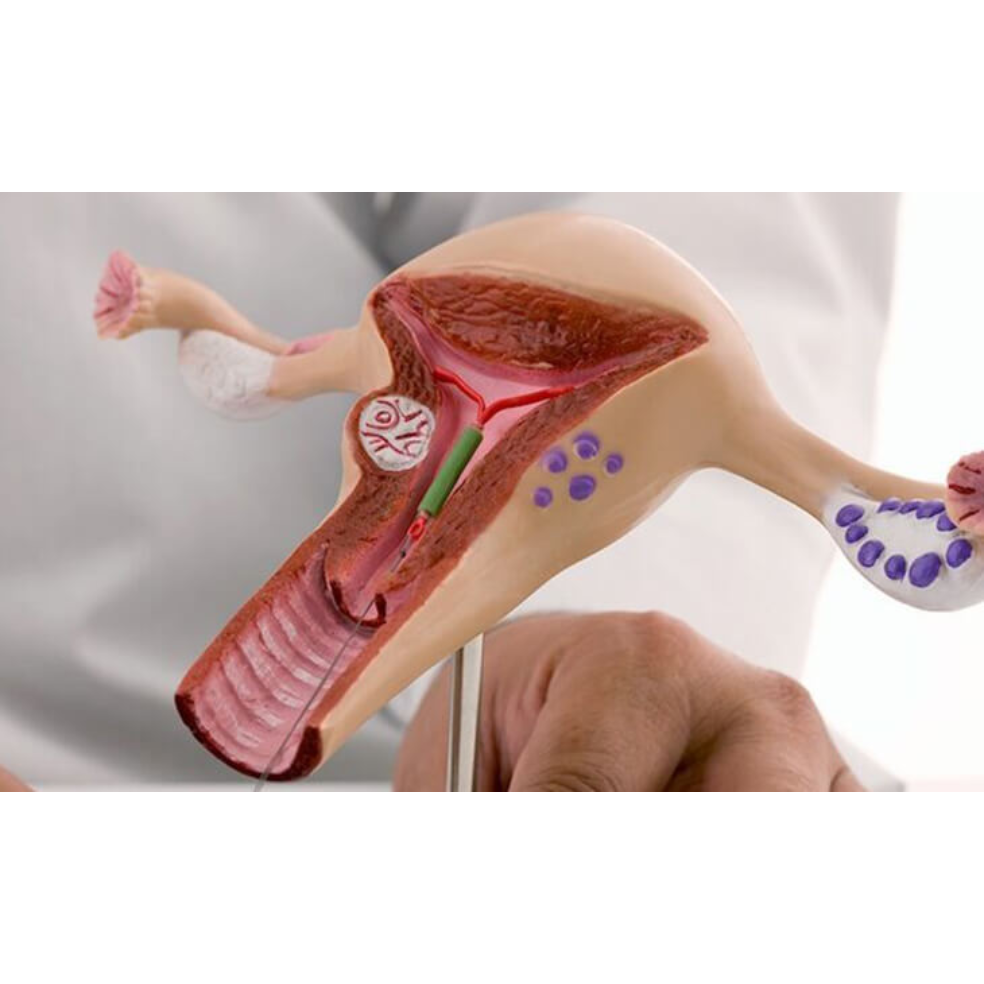 Emergency fertility care in Coimbatore main image