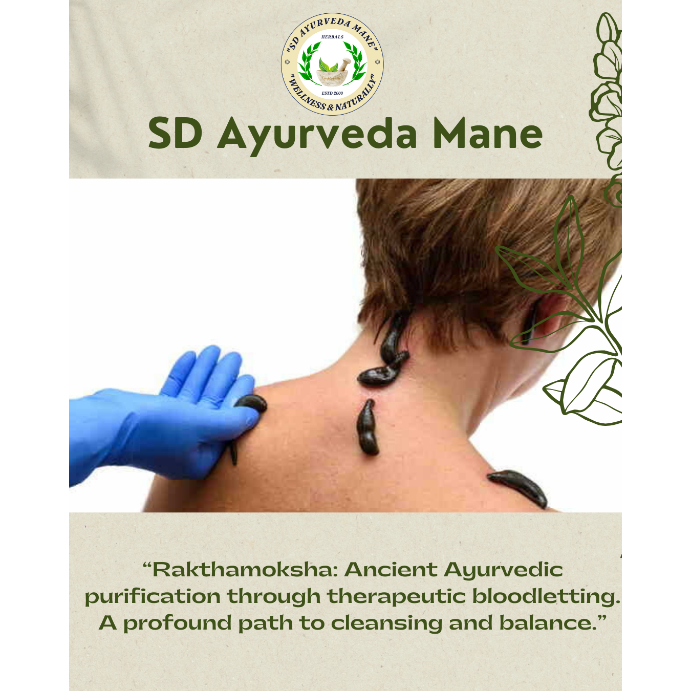 Raktamokshana- Panchakarma Treatment main image