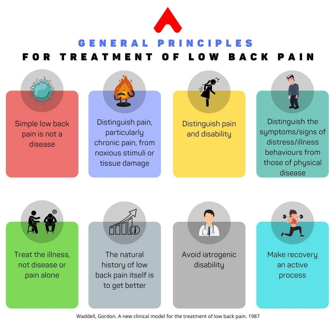 Low back pain main image