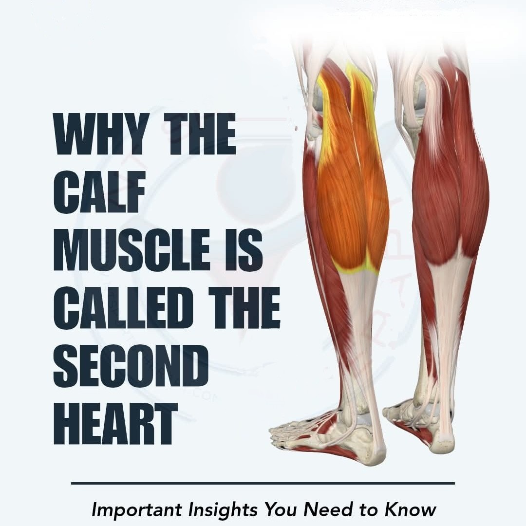 Calf muscle strength training main image