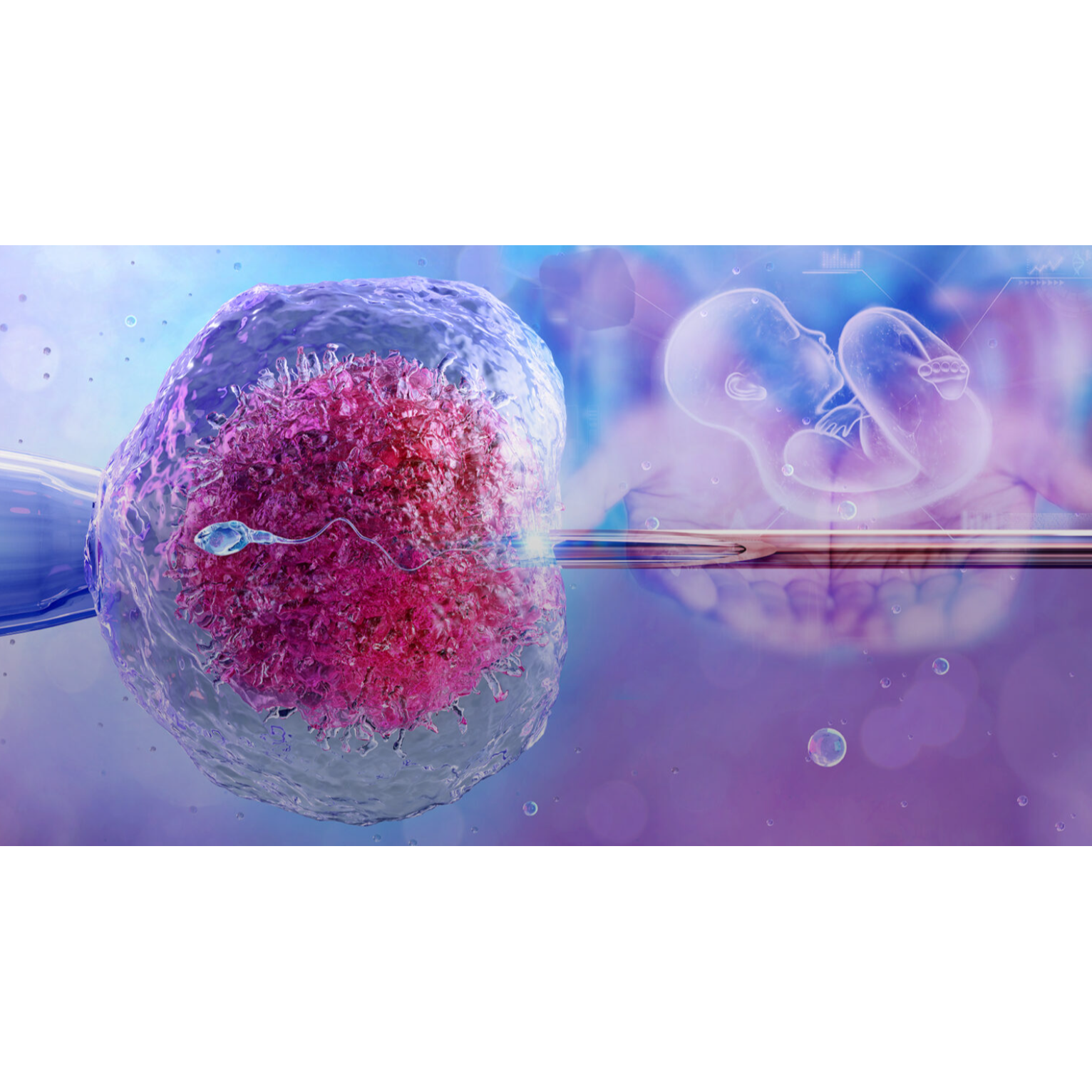 IVF Specialised Hospital in Coimbatore – Advanced Reproductive C... main image