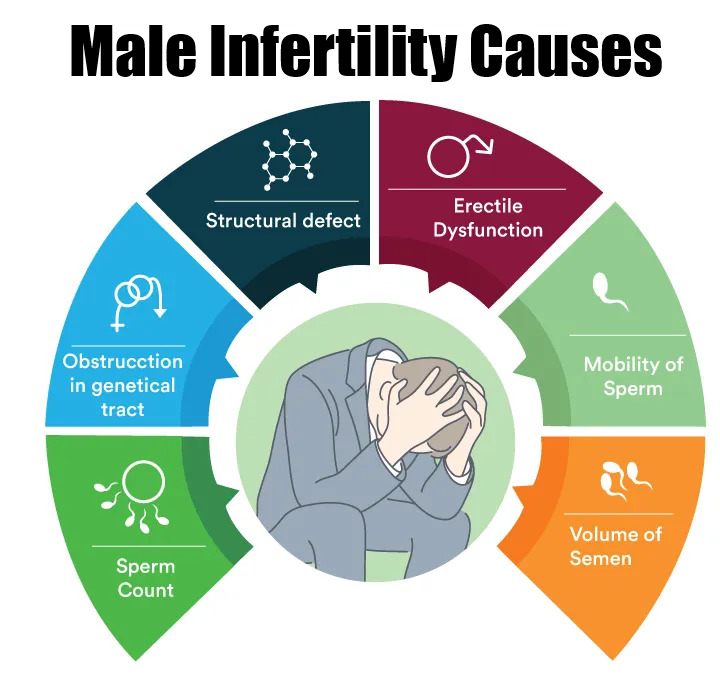 IVF Success Rate in Coimbatore main image