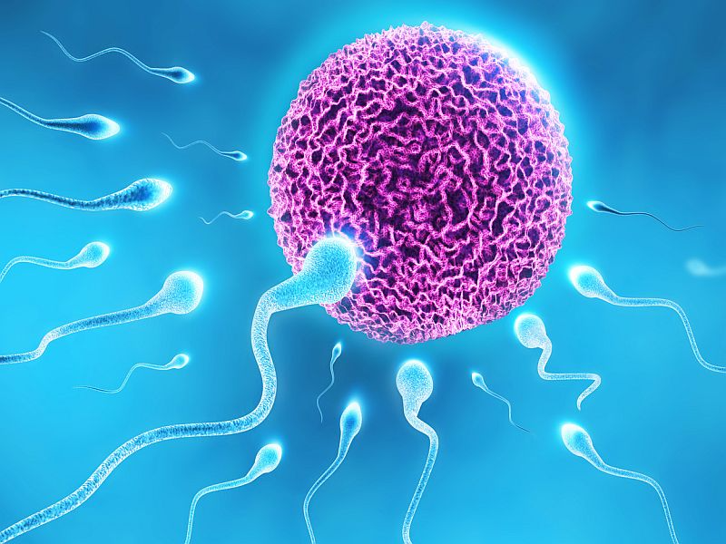 Conceiving treatment Hospital in Coimbatore main image