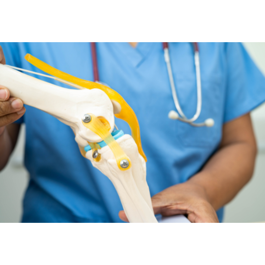 Joint Replacement Surgery in Nagpur main image
