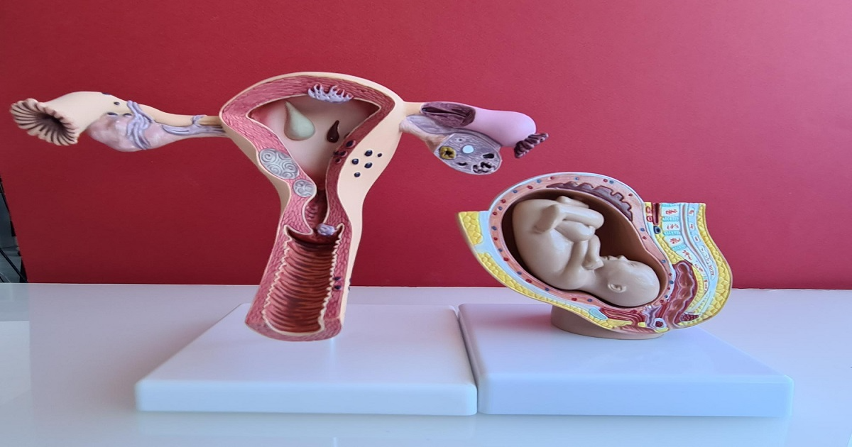 IVF counselling doctor Coimbatore main image