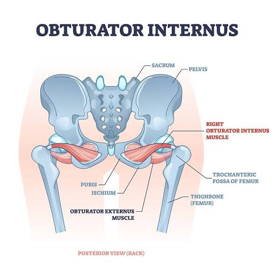 Low Back Pain Treatment at Sunshine Super Speciality Physiotherapy Clinic, Tambaram main image