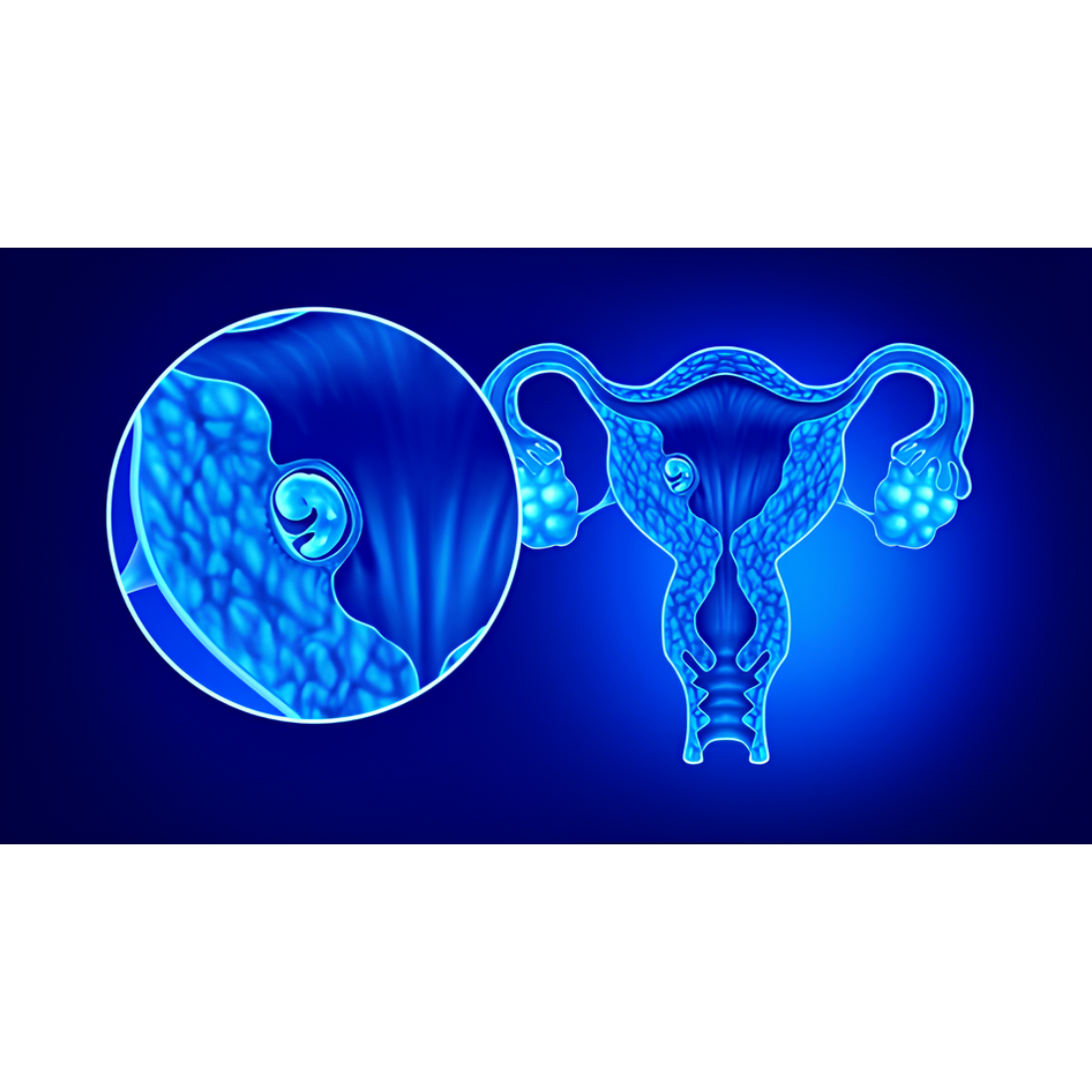 Best Fertility Hospital in Coimbatore main image