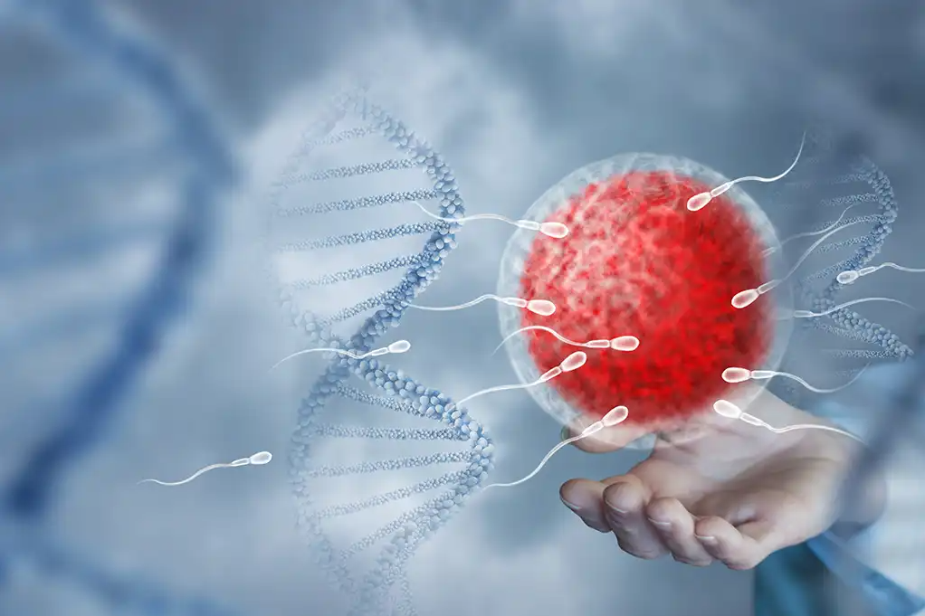 IVF Centre in Coimbatore Best Fertility Clinic Near Me main image