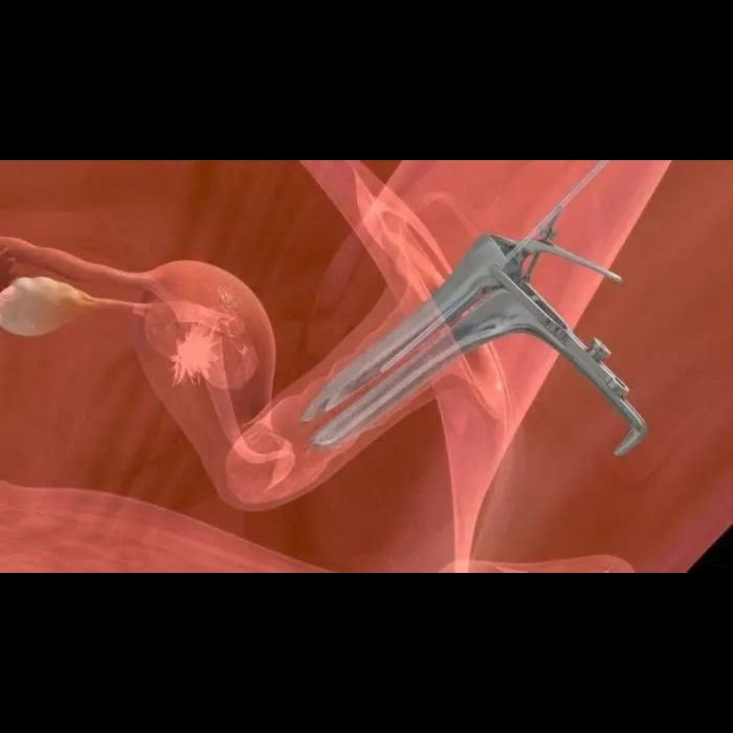 IVF Embryo Transfers: The Complete Guide 2025 main image