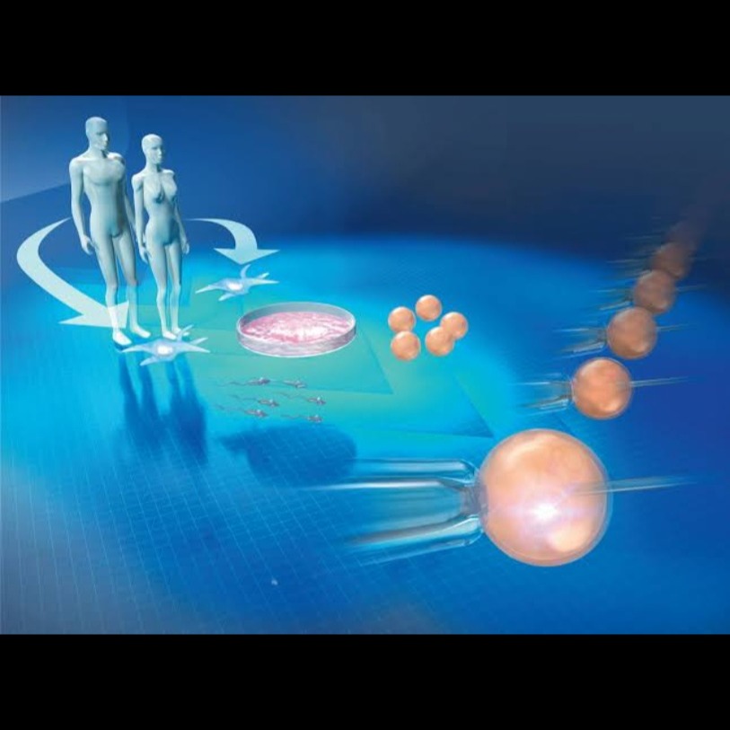 What Is Assisted Reproductive Technology (ART)? A New Dawn in Fertility Care main image