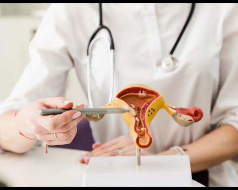 IUI Treatment in Chennai – A Simple and Effective Step Towards Parenthood main image