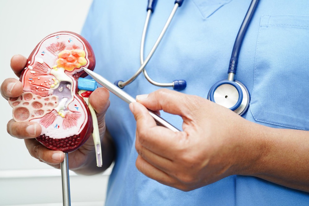 Experienced Urologist in Nagpur for Comprehensive Urology Care main image