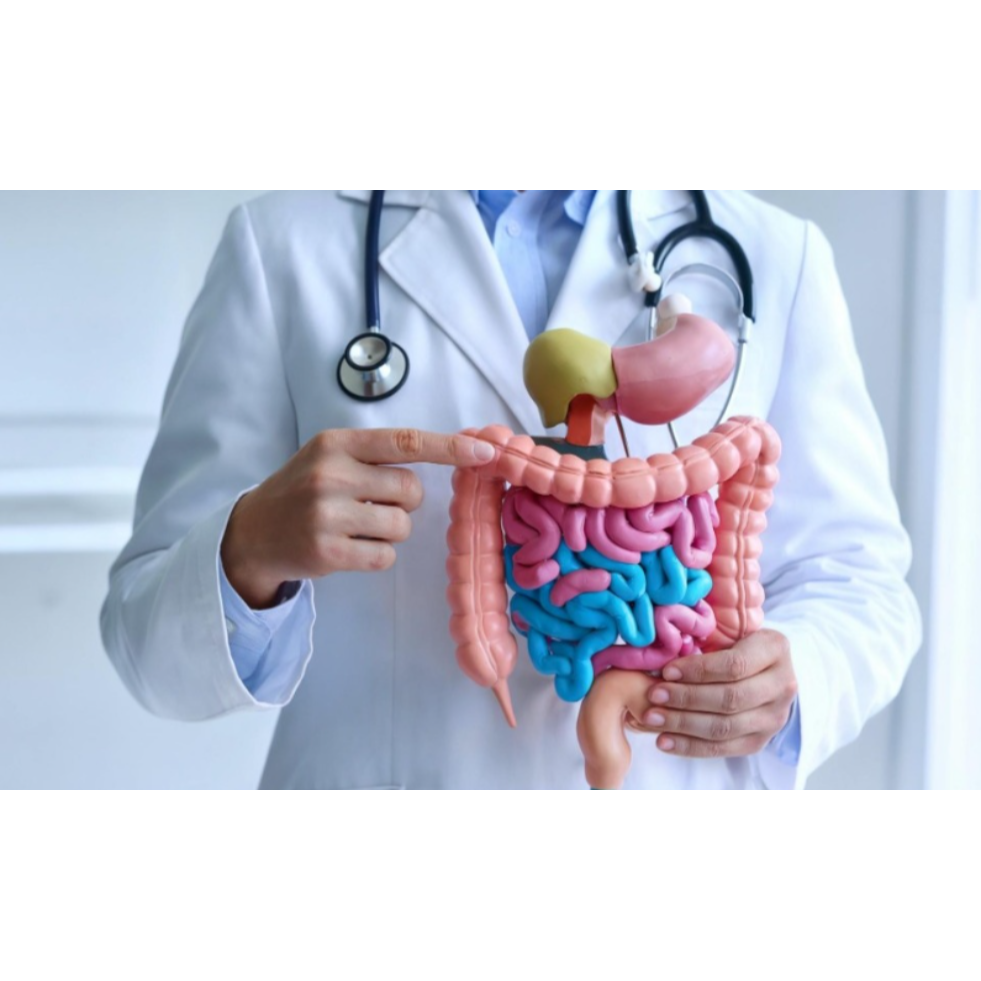 Gastroenterology – Galaxy Multispeciality Hospital, Wadala main image