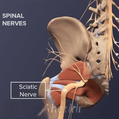 sciatica treatment at Sunshine clinic main image