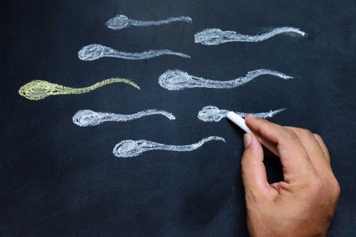 How Sperm Blockage Affects Male Fertility main image