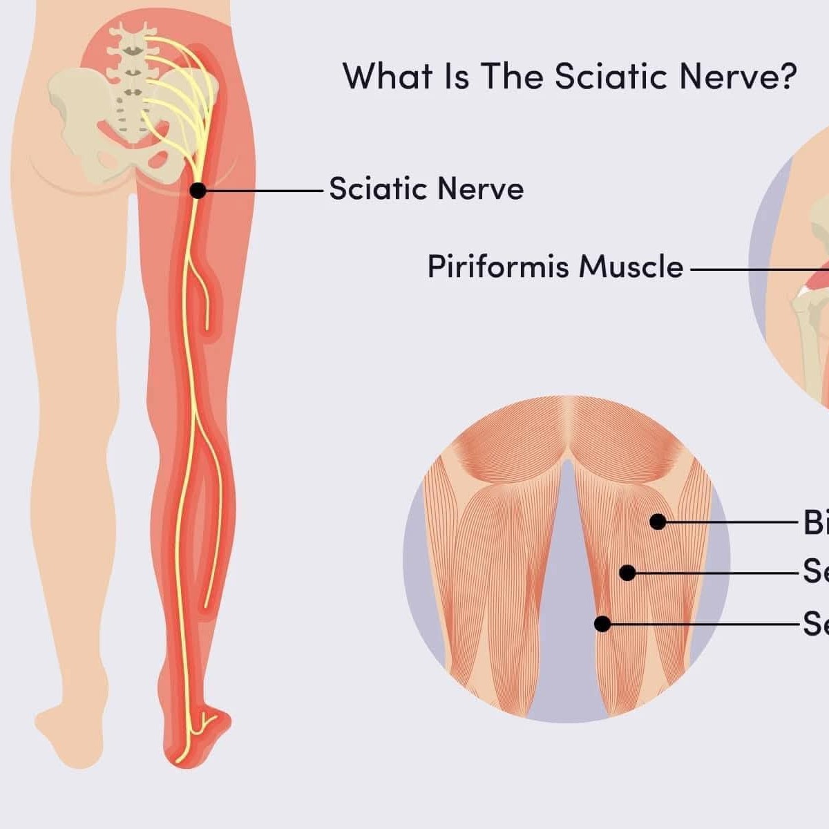 What is low back pain?
and treatment at Sunshine clinic main image