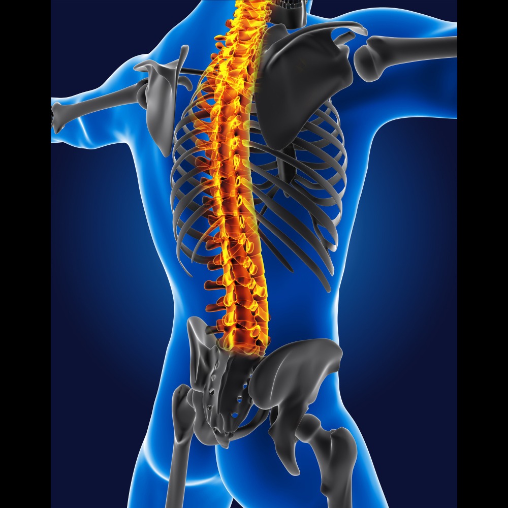 Posterior Stabilisation Spine in Chennai – Restoring Spinal Strength main image