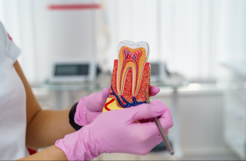 Root Canal Treatment in Nashik – Save Your Natural Teeth main image