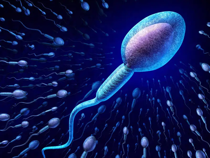 IVF and surrogacy services Coimbatore main image