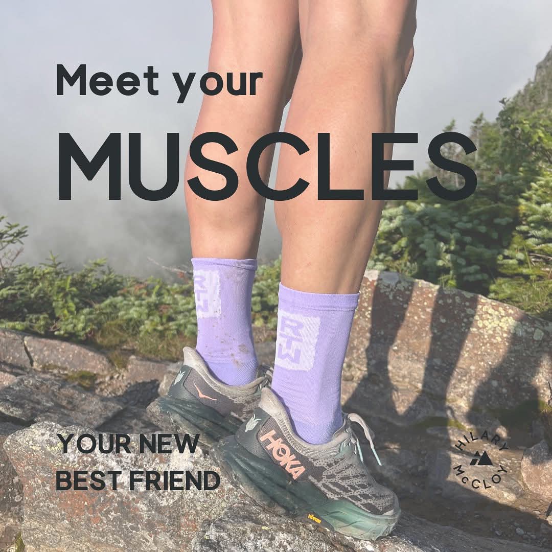 Muscles do many things for us. They move us, they stabilize us, they hold us up. main image