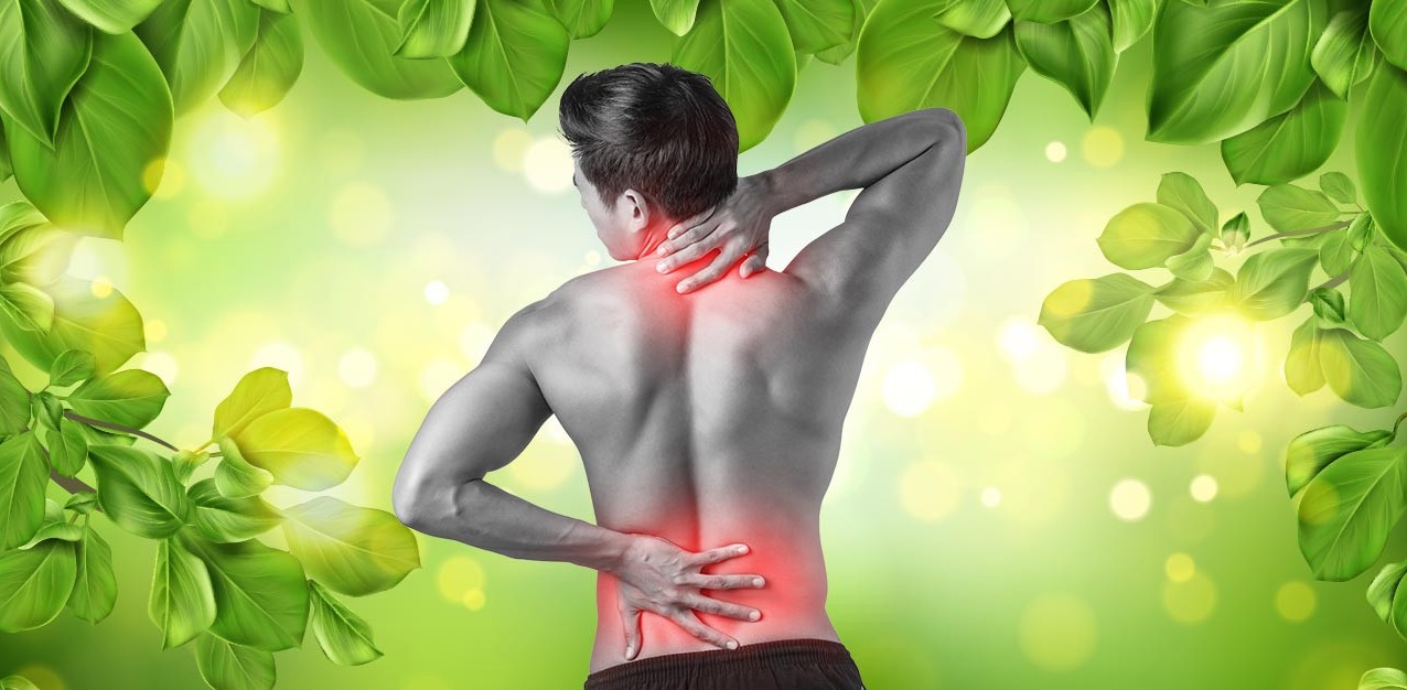 Say Goodbye to Neck Pain – The Ayurvedic Way! main image