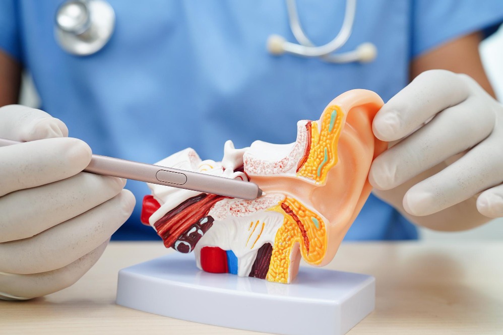 ENT Specialist Near Me in Jaipur – Accessible and Reliable Care main image