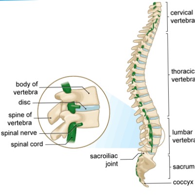 4-Common Mistakes People Make in their Back Pain main image
