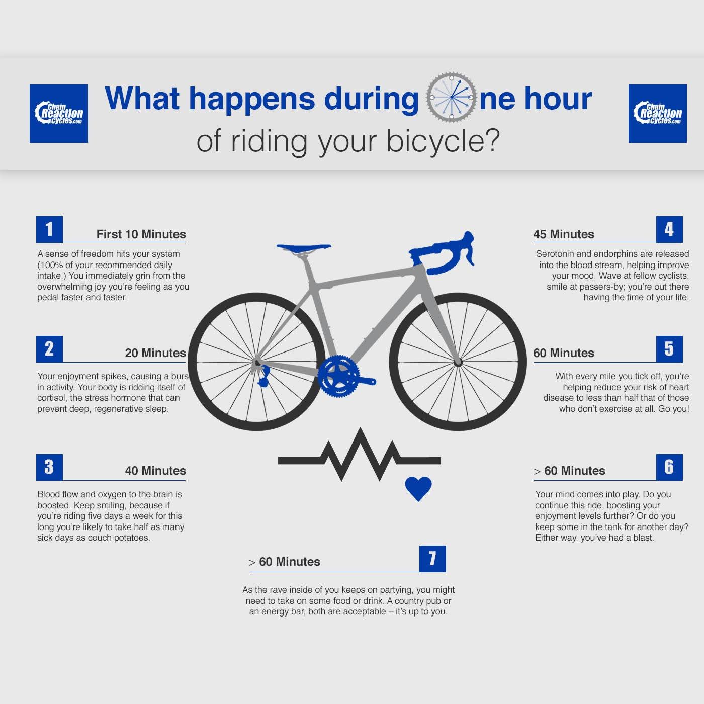 What happens during one hour of cycling? 🚴🚴‍♀️ main image