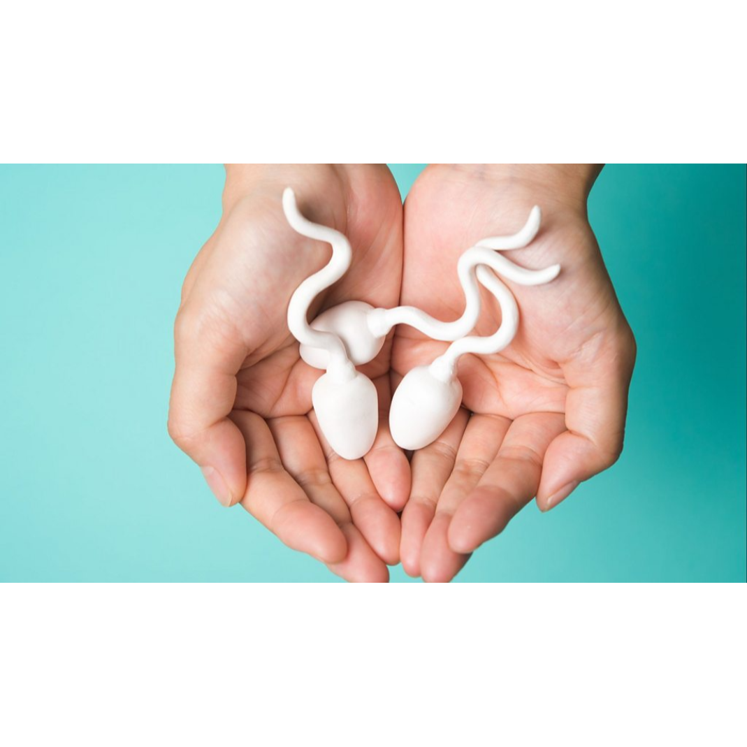 Best Fertility Centre in Coimbatore main image