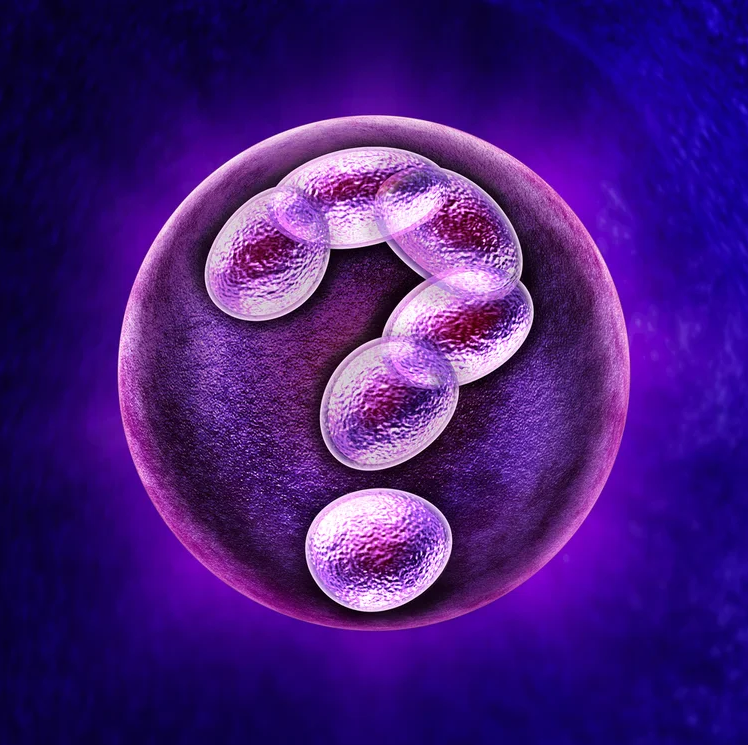 Top Test Tube Baby Specialists in Coimbatore main image