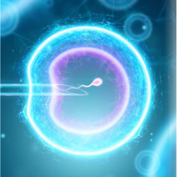 Best IVF Center in Coimbatore main image
