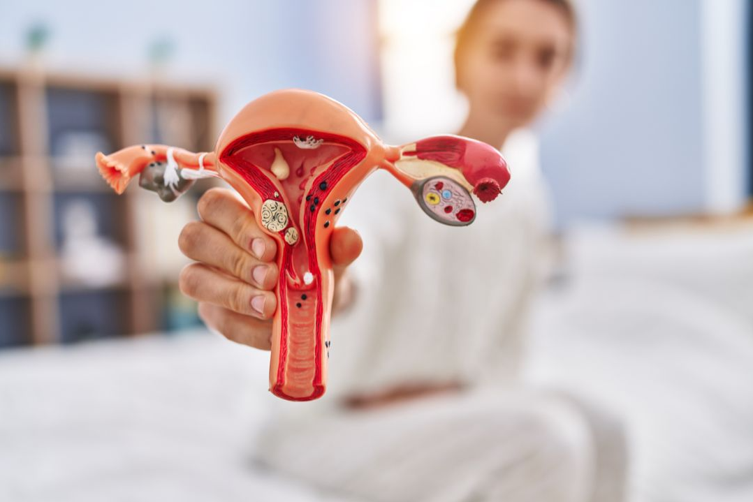Female Fertility Checkup in Coimbatore main image