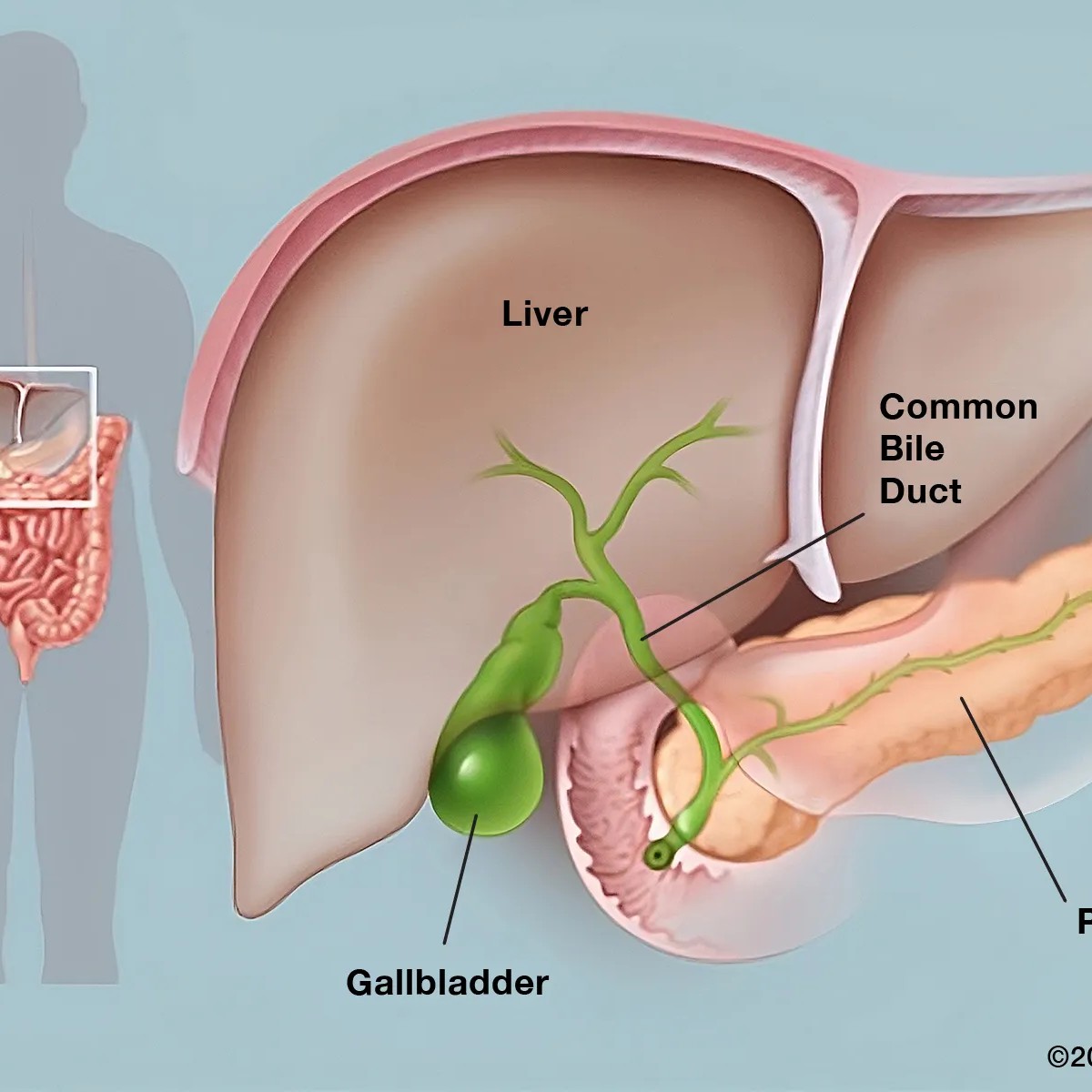 Best Laparoscopic Surgery In Delhi main image
