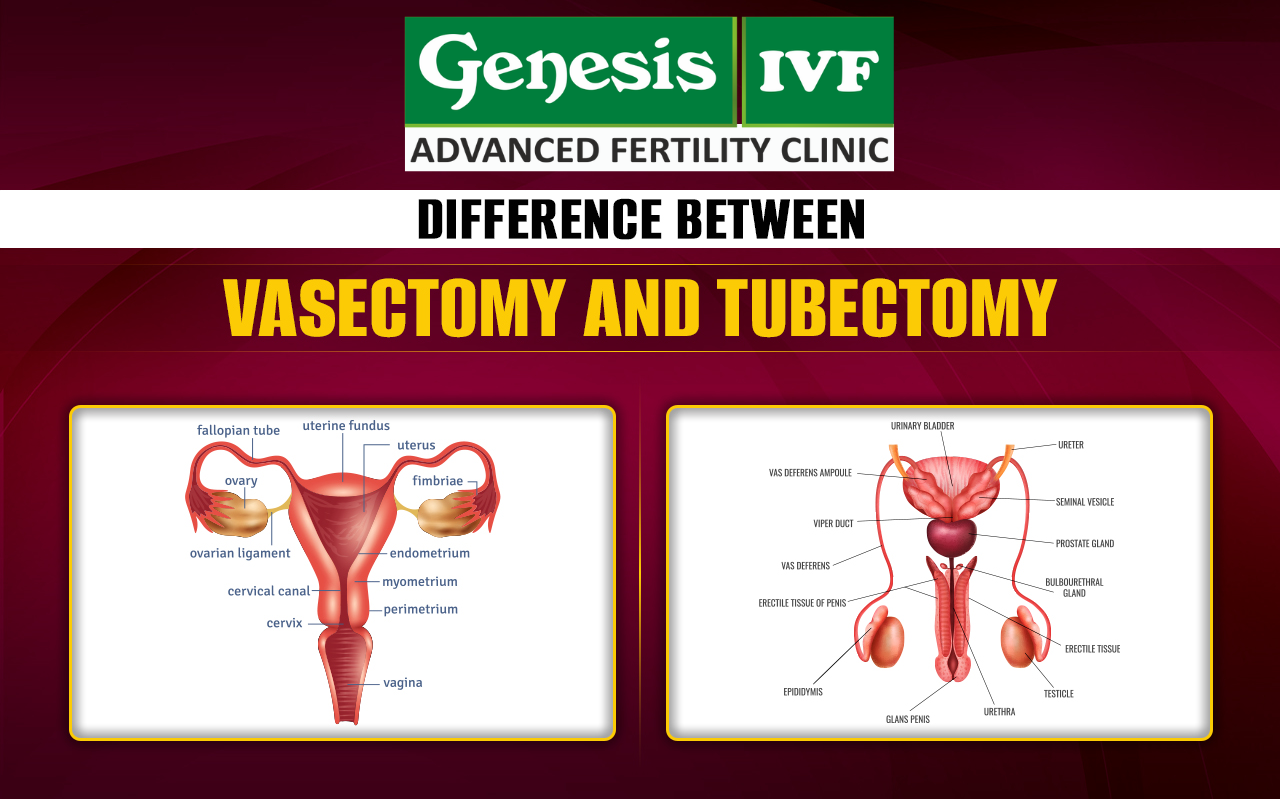 No.1 Fertility Hospital in Coimbatore | Advanced IVF Treatments main image