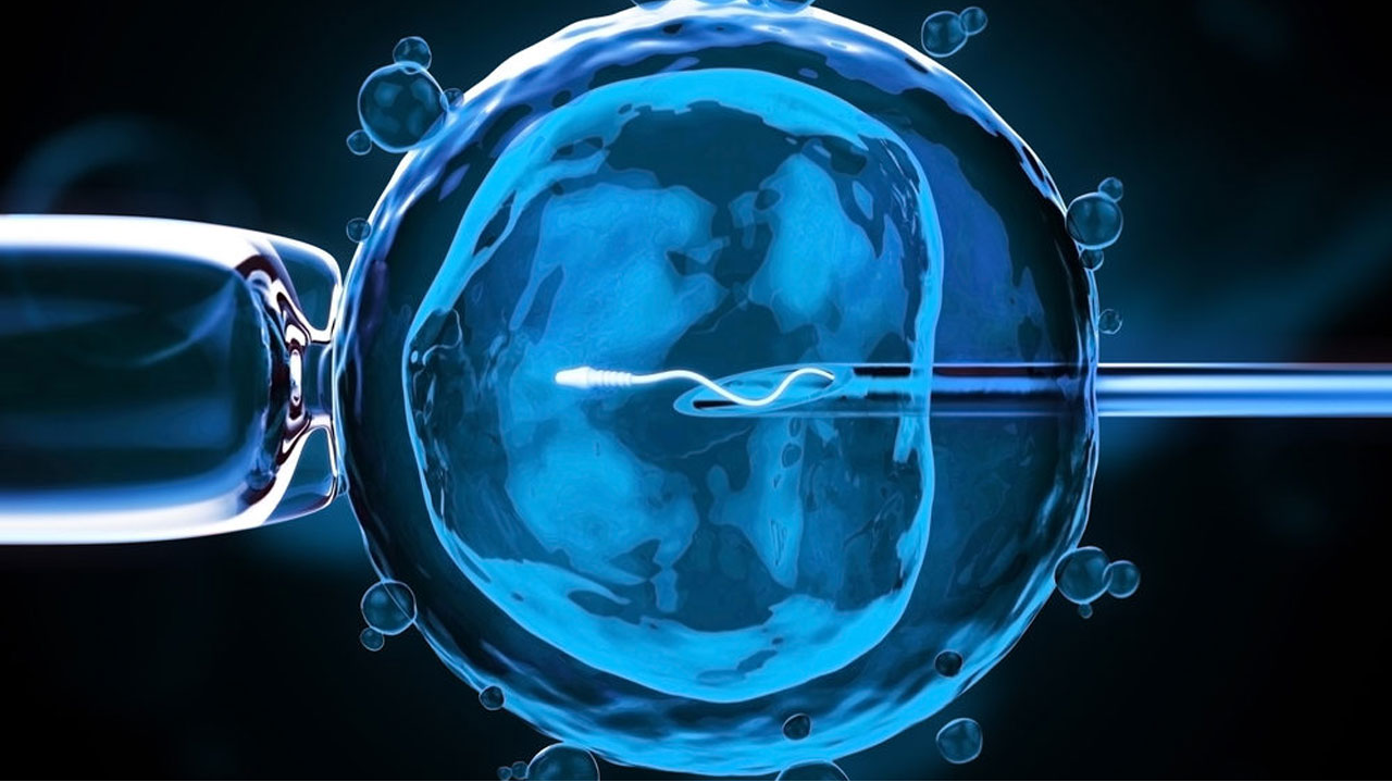 IVF & Reproductive Care in Coimbatore | Trusted Services main image