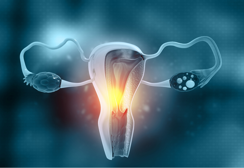 Finding Fertility Help in Coimbatore – IVF That Cares main image