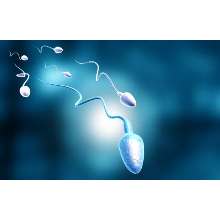 Reproductive Treatment in Coimbatore – Advanced Fertility Solutions main image