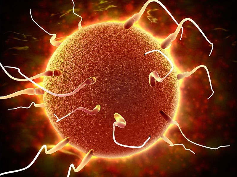 IVF Specialist in Coimbatore – Expert Fertility Doctors Near You main image