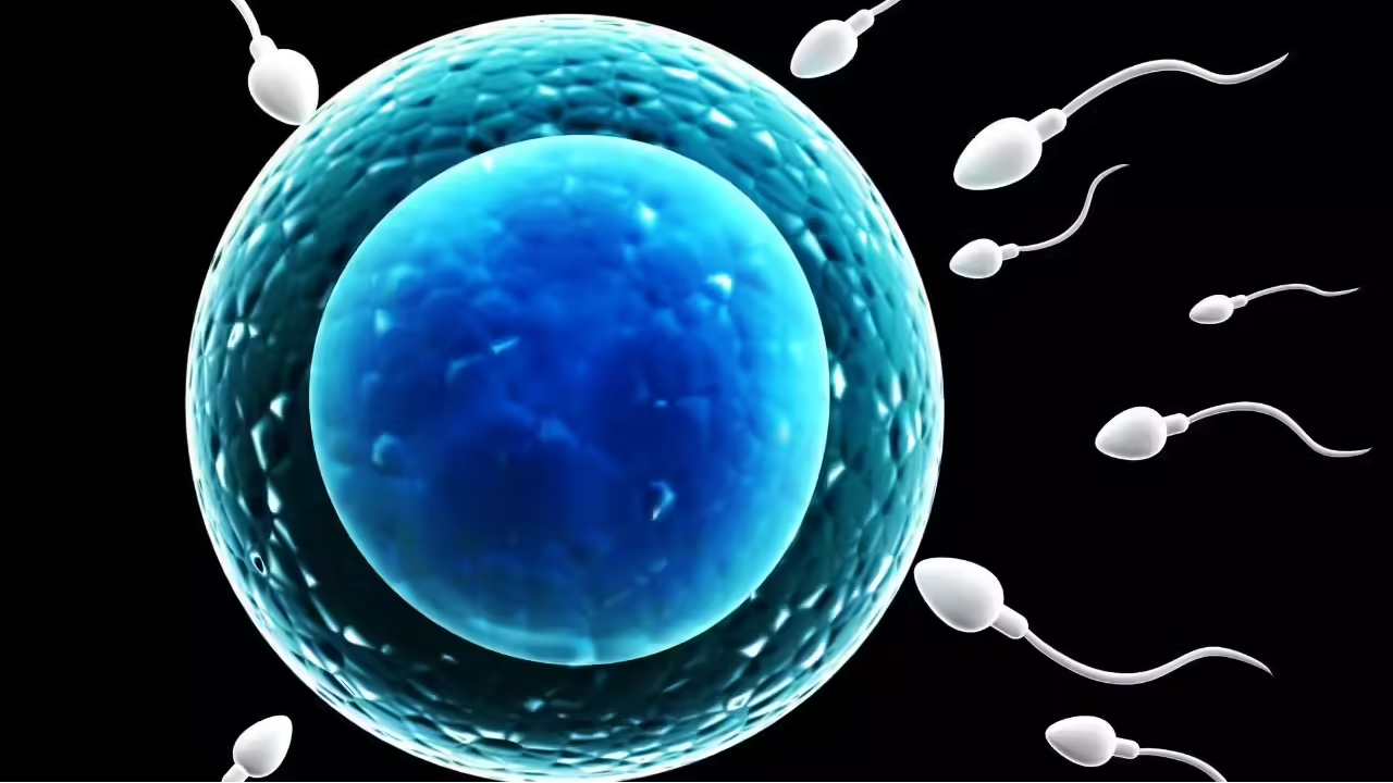 Genesis IVF Treatment Coimbatore Fertility Centre main image