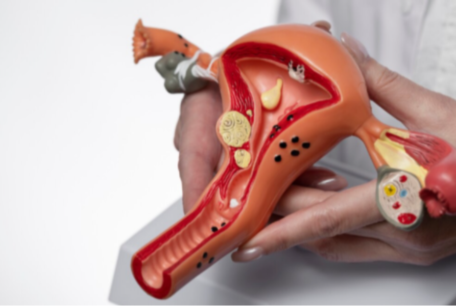  IVF Specialist in Pune – Advanced Fertility Solutions Tailored for You main image