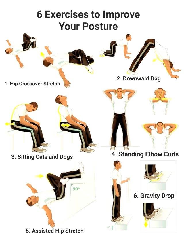 Exercises to Improve Your Posture at Sunshine clinic main image